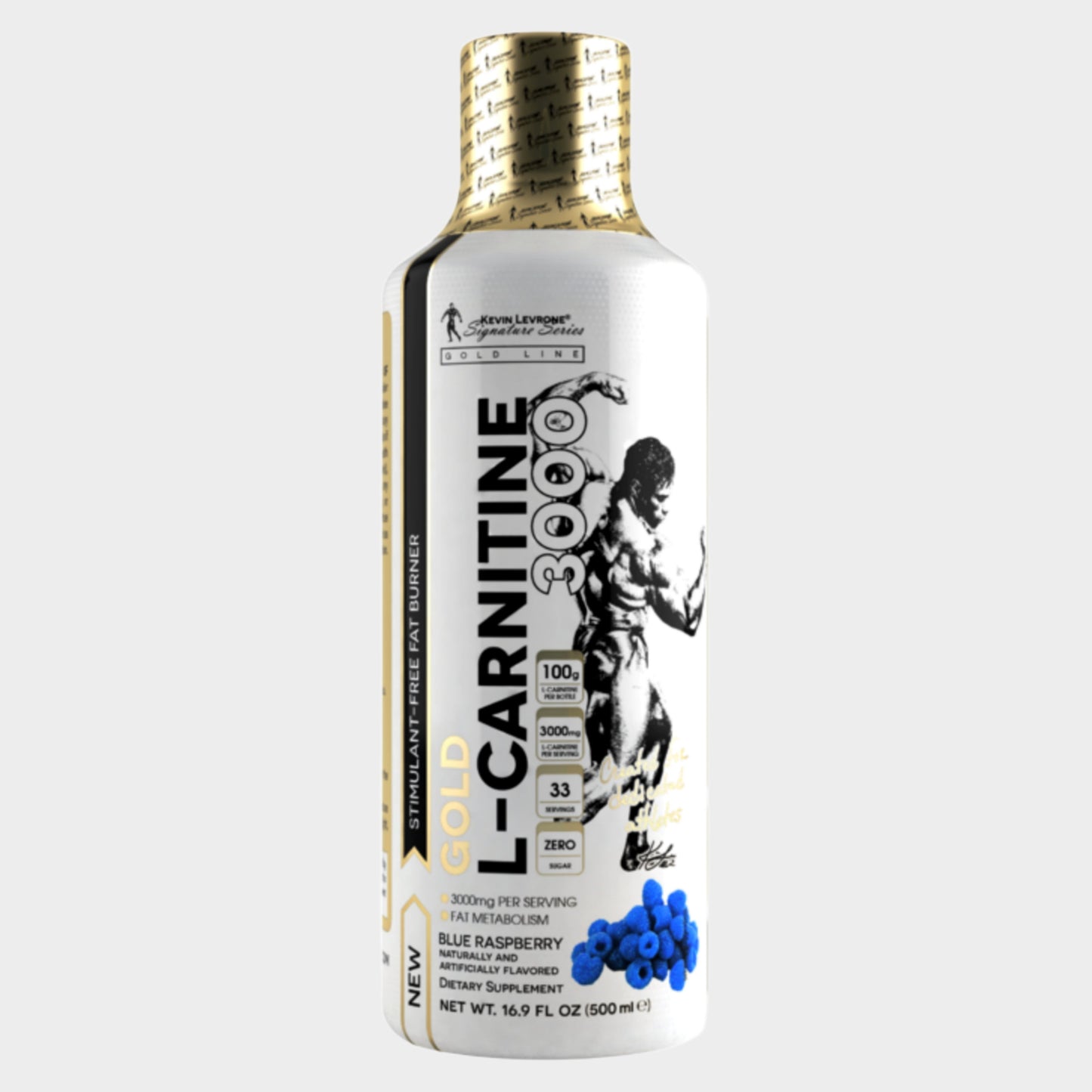 kevin levrone gold l-carnitine 500ml in pakistan