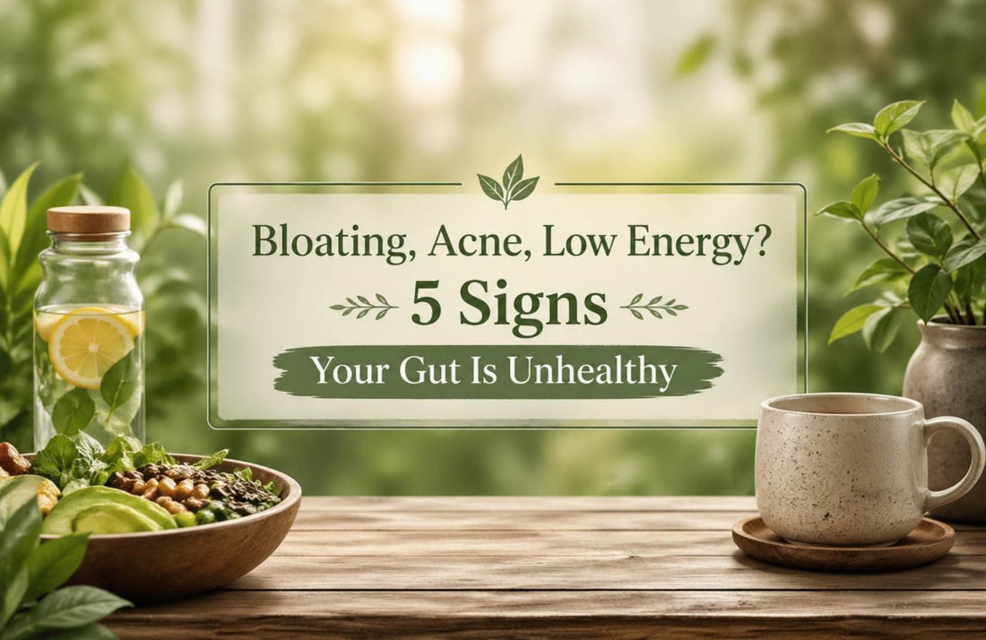 Bloating, Acne, Low Energy? 5 Signs Your Gut Is Unhealthy (And How to Fix It)