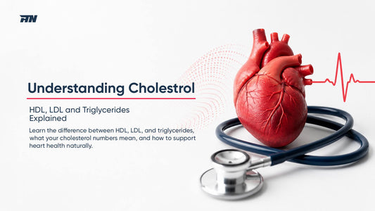 Understanding Cholesterol: HDL, LDL, and Triglycerides Explained